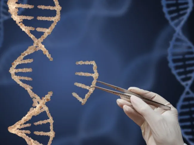 surgery on dna